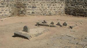 عروق الفتنة