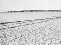 محنة العقول والقلوب..! 