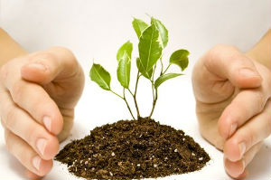 معنى مقاصد الشريعة وفوائد معرفتها 