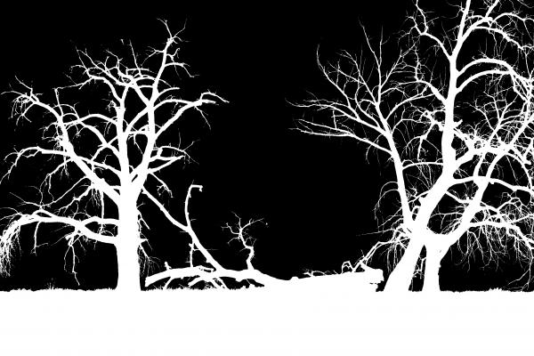 الاحتفال برأس السنة الميلادية، حكمه، ومظاهره 