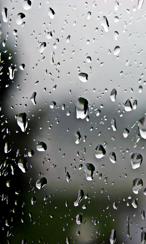 « مُطِرْنا بفضل الله ورحمته..»! 