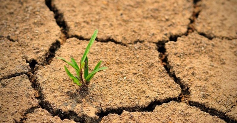 الصبر واليقين في حياة المسلم 