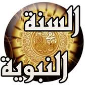 شبهة الاكتفاء بالقرآن وعدم الحاجة إلى السنة النبوية 