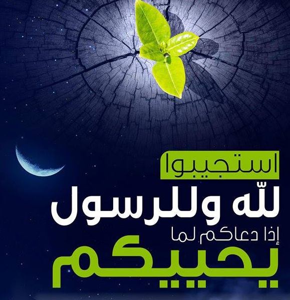 دعوة للحياة 