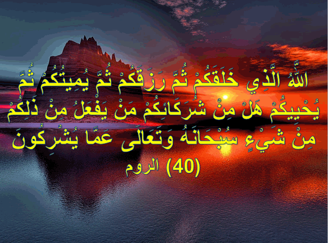 هَلْ مِن شُرَكَائِكُم مَّن يَفْعَلُ مِن ذَلِكُم مِّن  