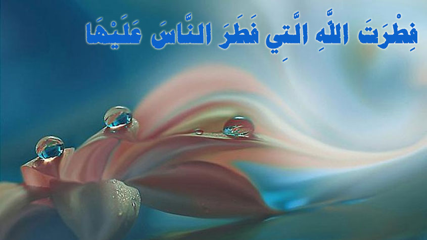  الفطرة لا تكفي لمعرفة تفاصيل التوحيد  