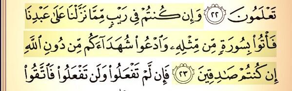 وَادْعُوا شُهَدَاءَكُمْ مِنْ دُونِ اللَّهِ 