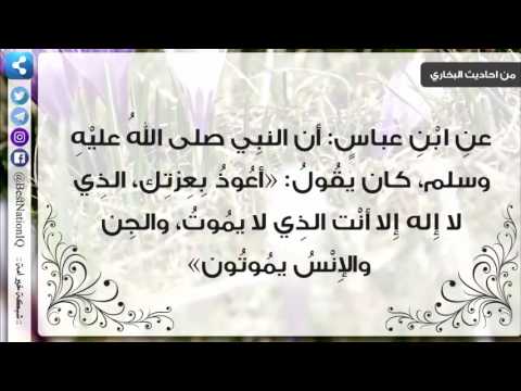 لا إلَهَ إلَّا أنْتَ الذي لا يَمُوتُ 